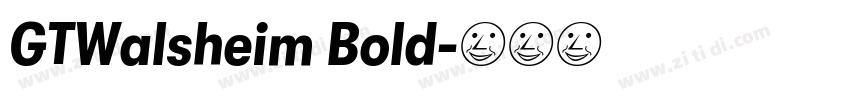 GTWalsheim Bold字体转换 GTWalsheim Bold字体转换